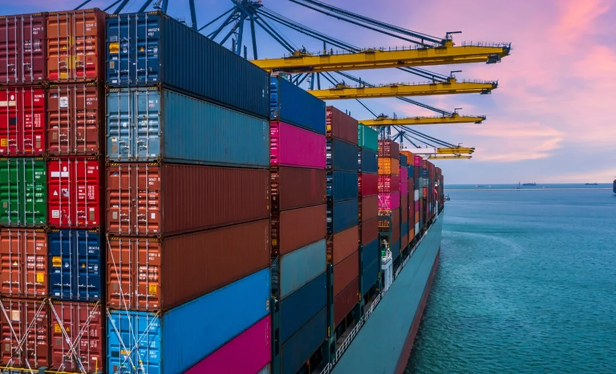exportacao portal govbr