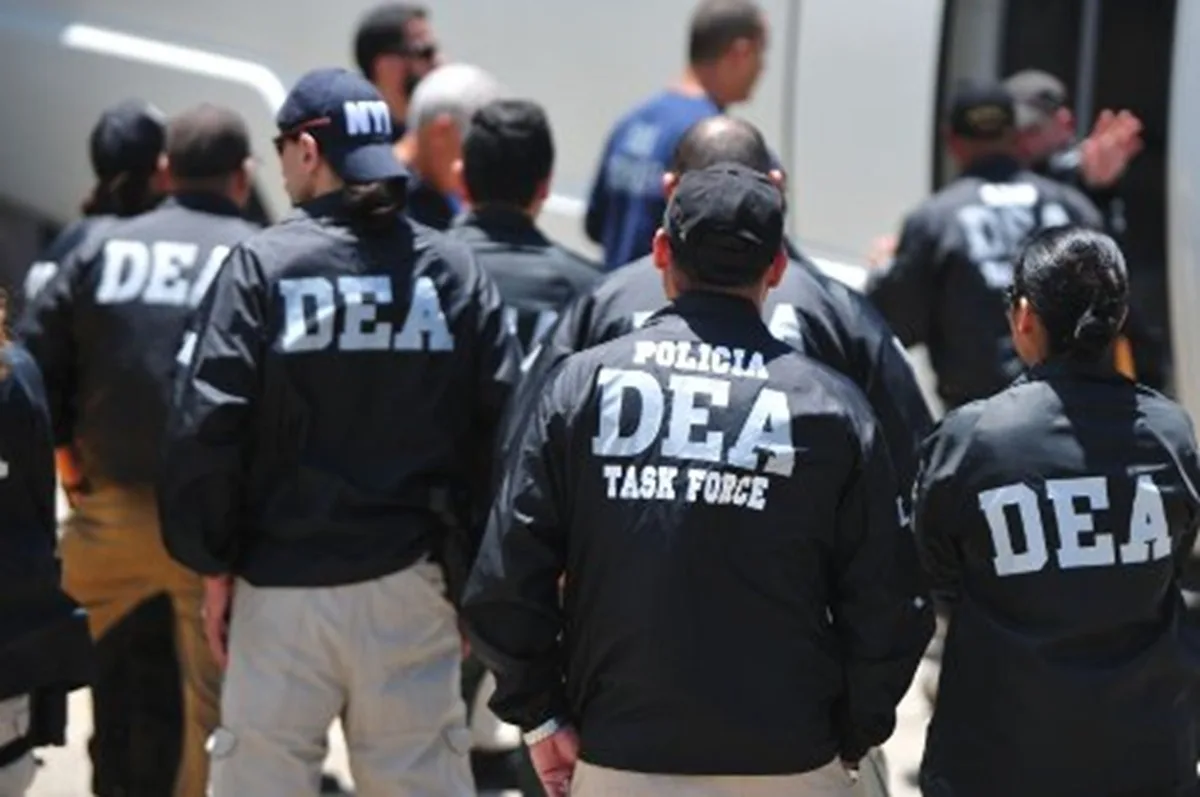 DEA reproducao
