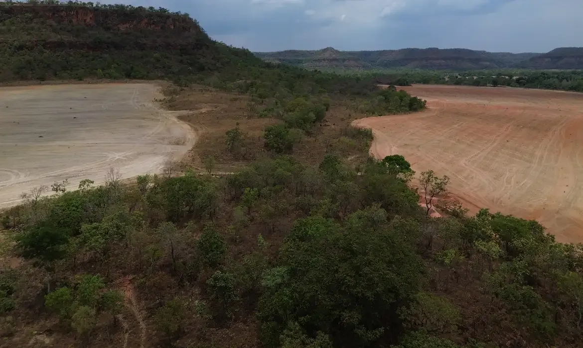 Bolsonaro promoveu parceria com o crime ambiental e seu filho quer fazer o mesmo, diz secretário do Observatório do Clima